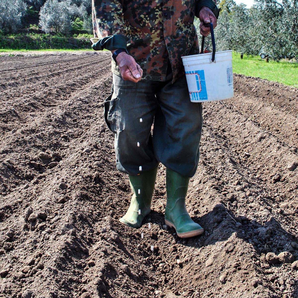 A.G.R. s.r.l. – wholesale Beans – ORGANIC Black Beans 300g. [EU only]3