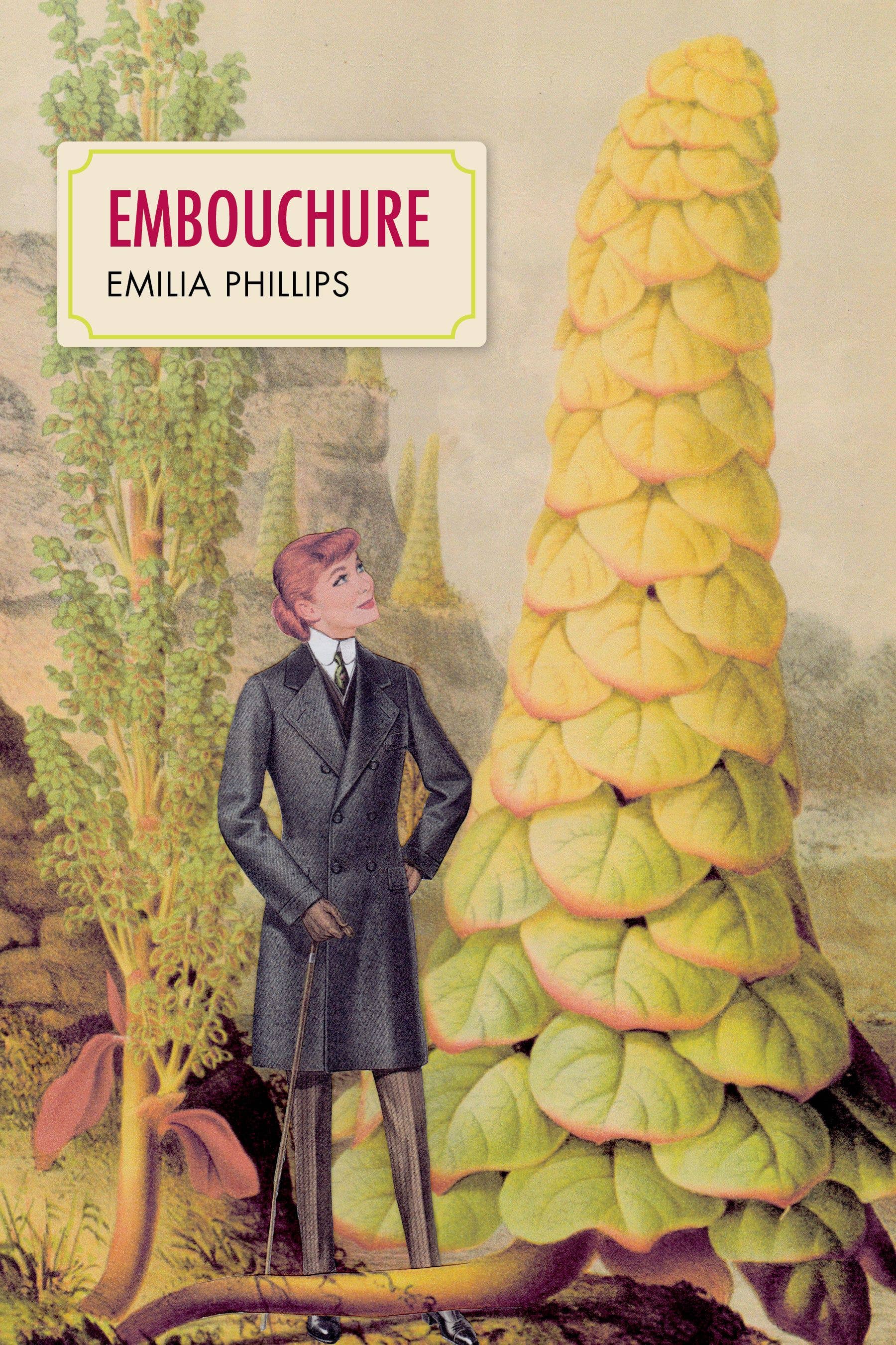 Baker & Taylor Publisher Services - Wholesale Poetry & Drama - Embouchure0