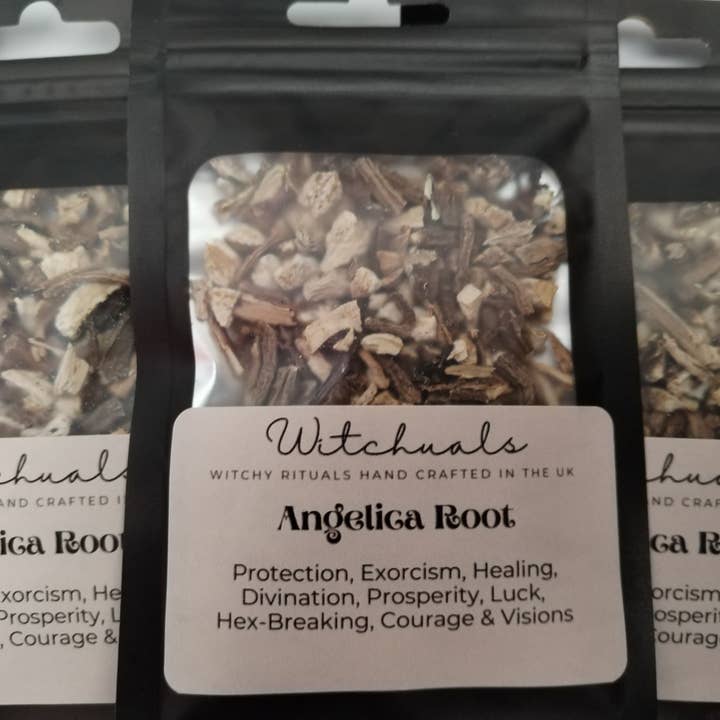 Angelica Root for wholesale by Witchuals - Rituals & Spellwork Apothecary