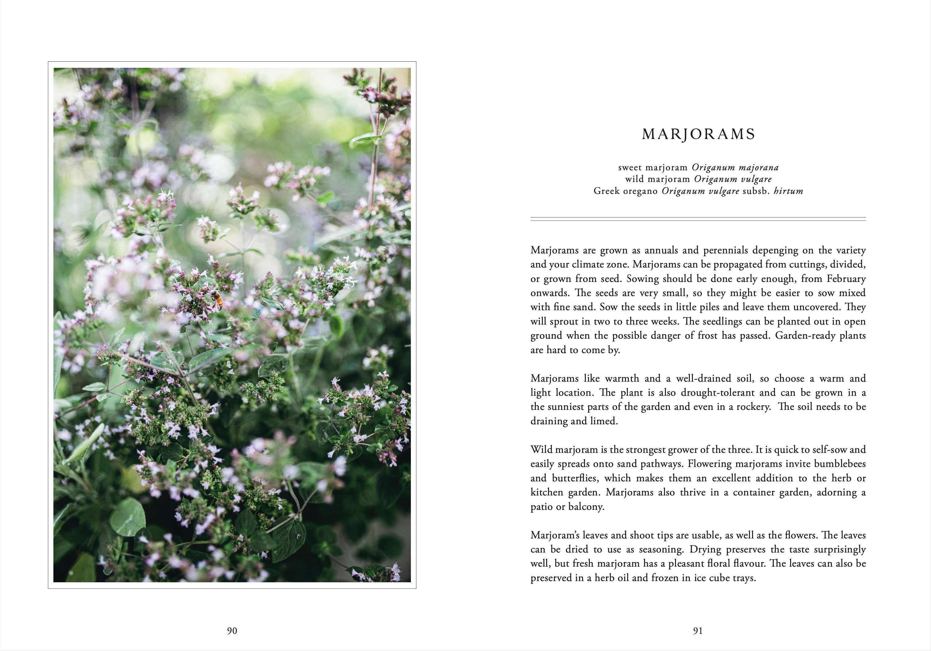 Cozy Publishing - Wholesale Home & Garden Book - Living with Herbs4