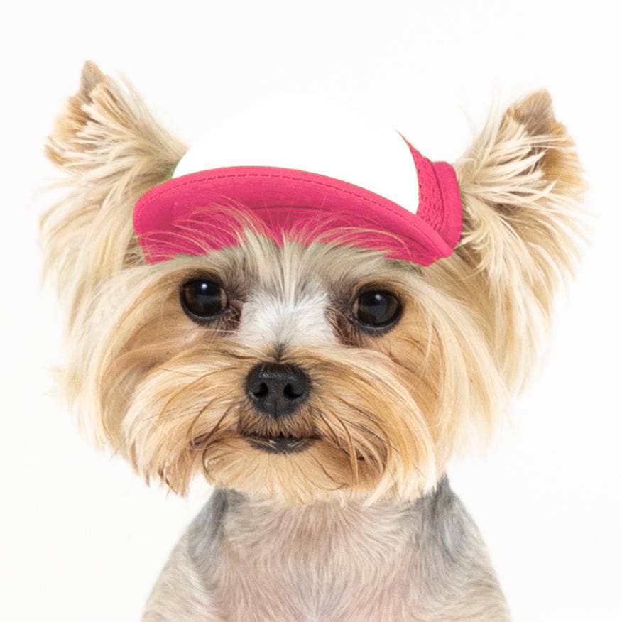 PupLid – wholesale Hatt - Hund – Blank Foam truckerkeps för hundar46