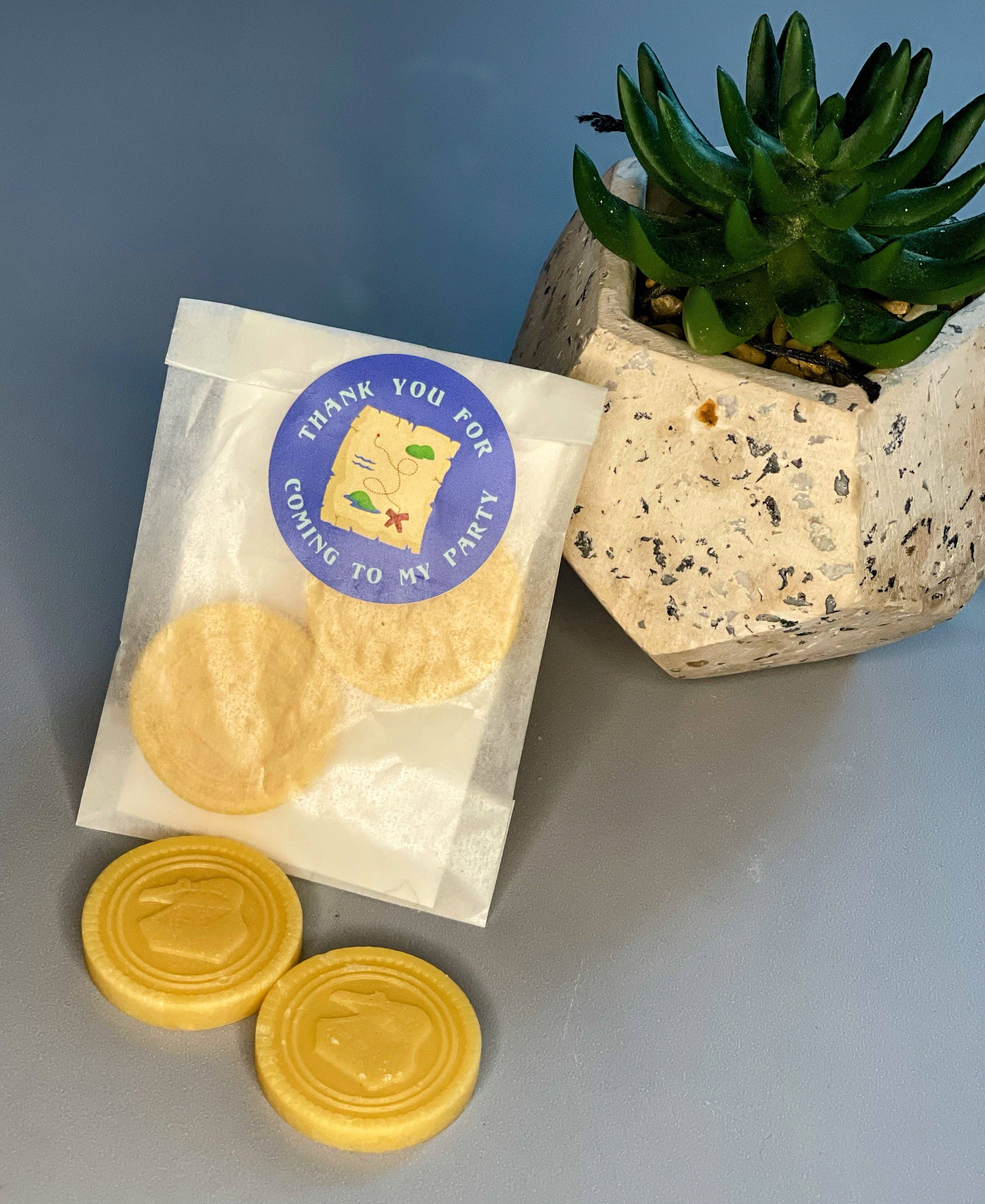 Poppy & Bear - Wholesale Party Favor - Treasure Chest Coin Party Bag Fillers3