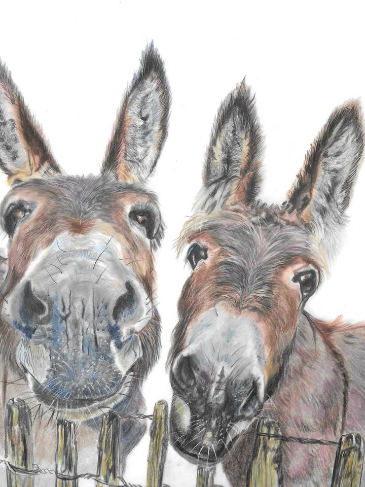 Donkeys greeting blank card 4"x6" with envelope for wholesale by Mili New Art