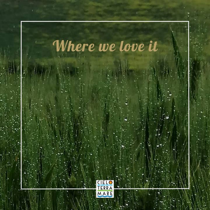 Azienda Agricola Cielo Terra Mare – Großhandel Pasta – BIO-Nudeln - ARDITA Calamarata-Nudeln