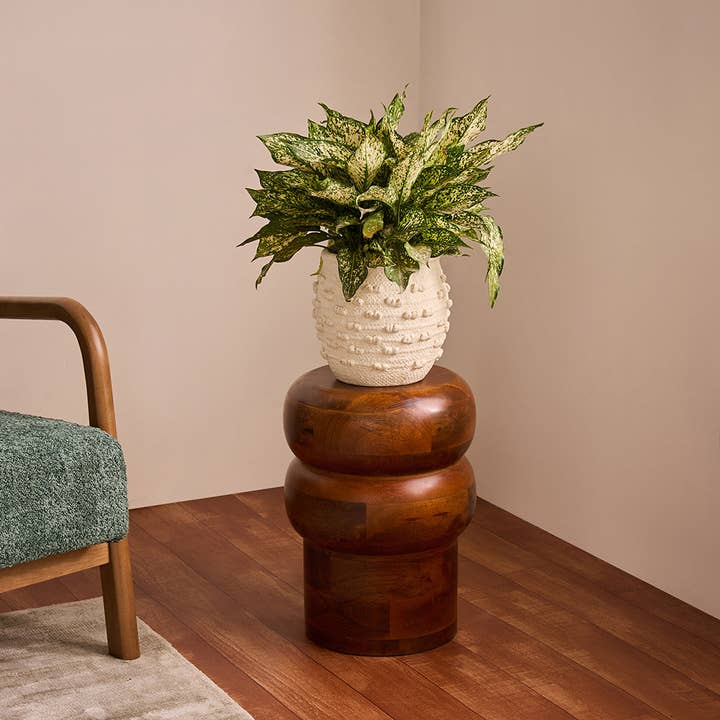 Oakspire Mango Wood Side Table for wholesale by NACH