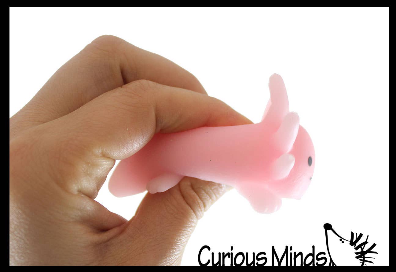 Curious Minds Toys - Wholesale Squishy Toy - Kids & Baby - 1 Axolotl Large Mochi - Cute Animal Gummy Mochi Fidget Squis8