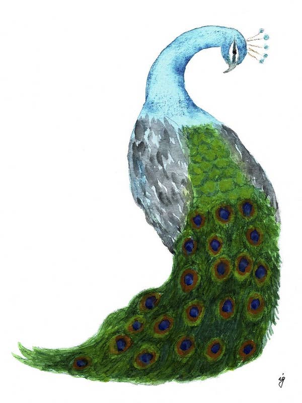 Peacock for wholesale by SAS {Seattle Art Studio}