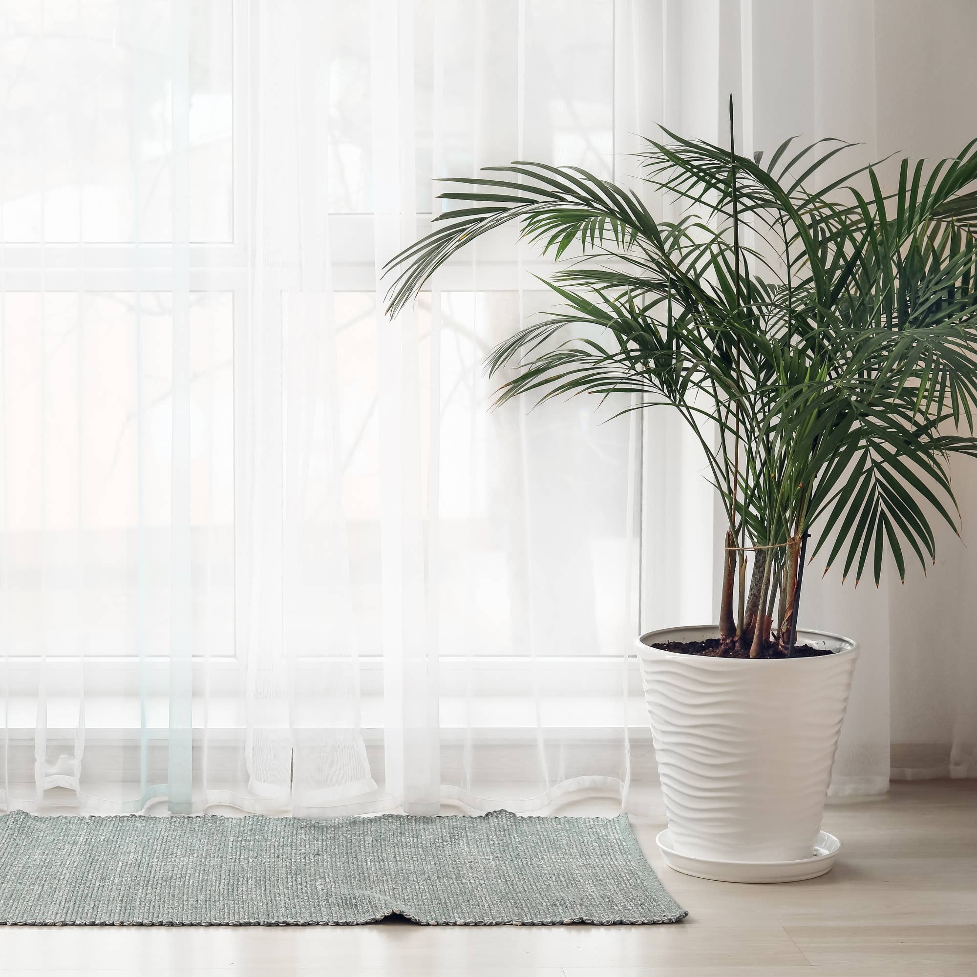 AWGifts Europe – wholesale Matta – Indiska handvävda bomullsmattor14