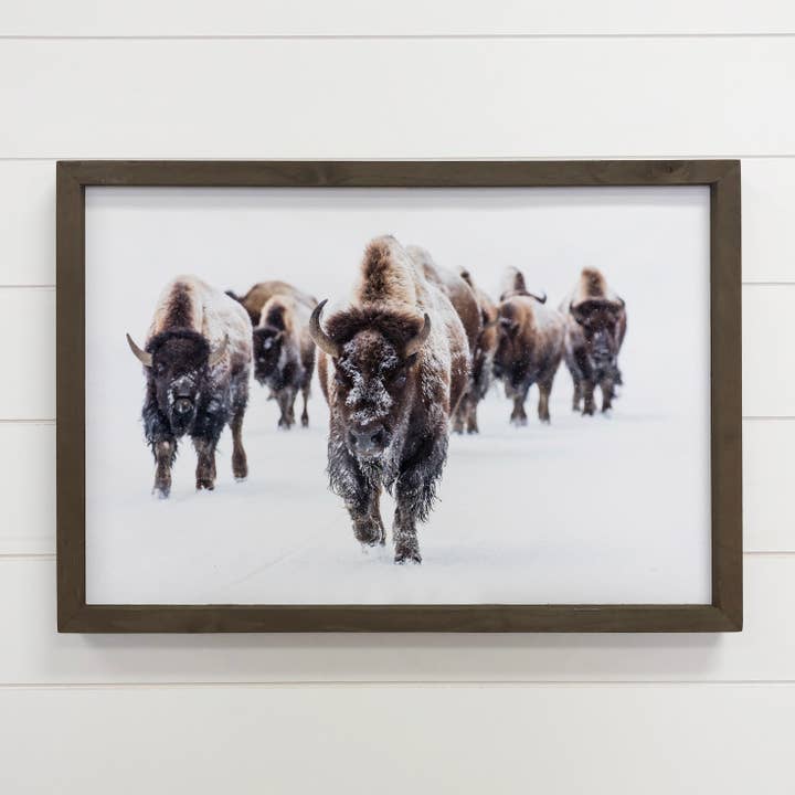 Wood Framed Wildlife Photography - Bison Group - Cabin Decor for wholesale by Hangout Home