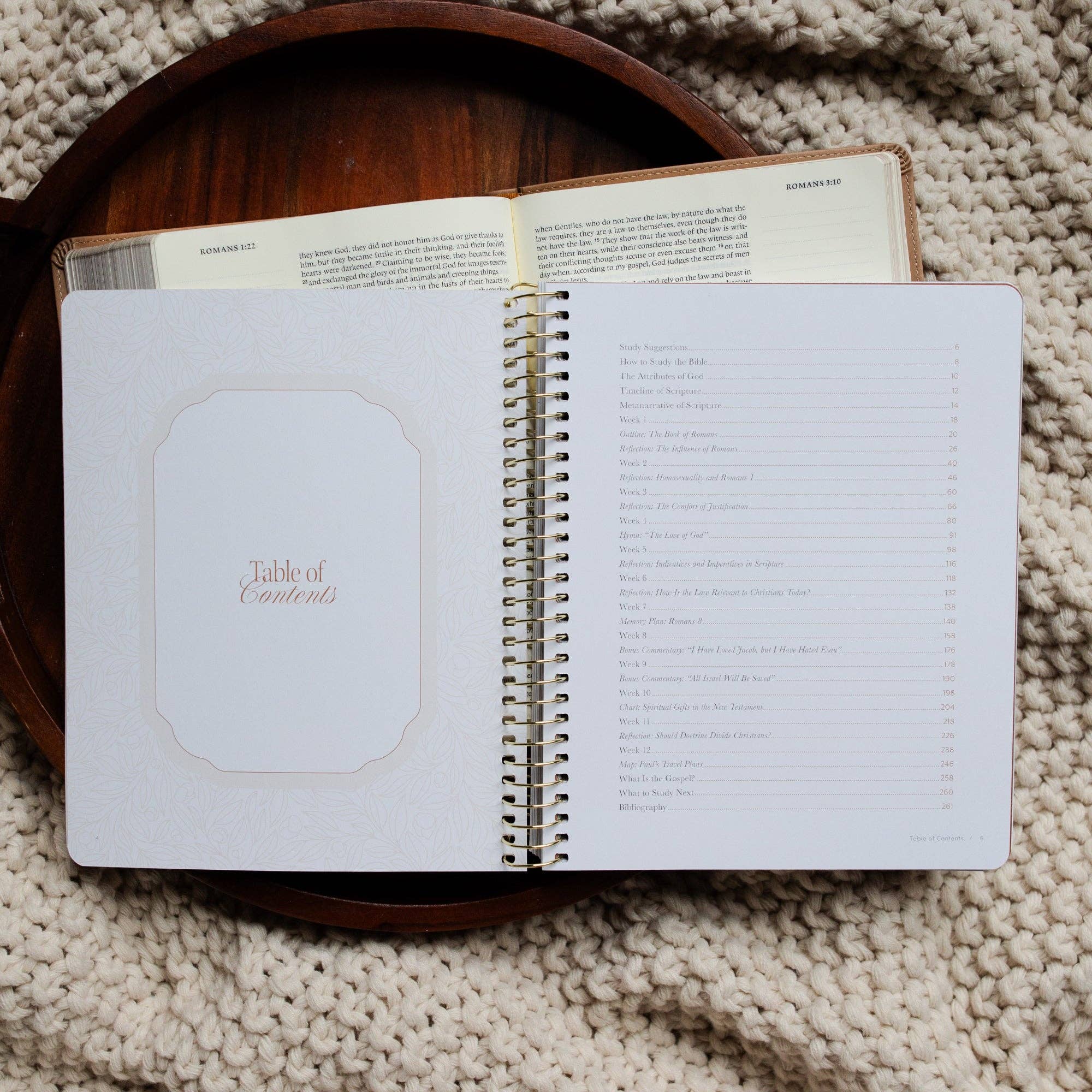 The Daily Grace Co - Vente Livre sur la religion - En Christ Seul : Une Étude sur le Livre des Romains1