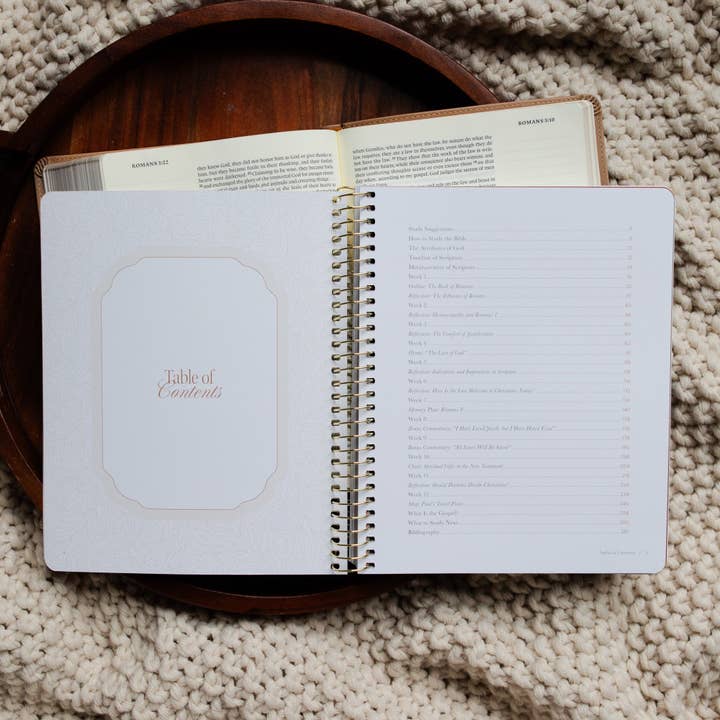 The Daily Grace Co - Vente Livre sur la religion - En Christ Seul : Une Étude sur le Livre des Romains1