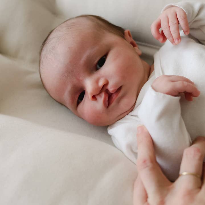 Snuggle Me Organic - Wholesale Lounger - Baby - Infant Lounger | Natural