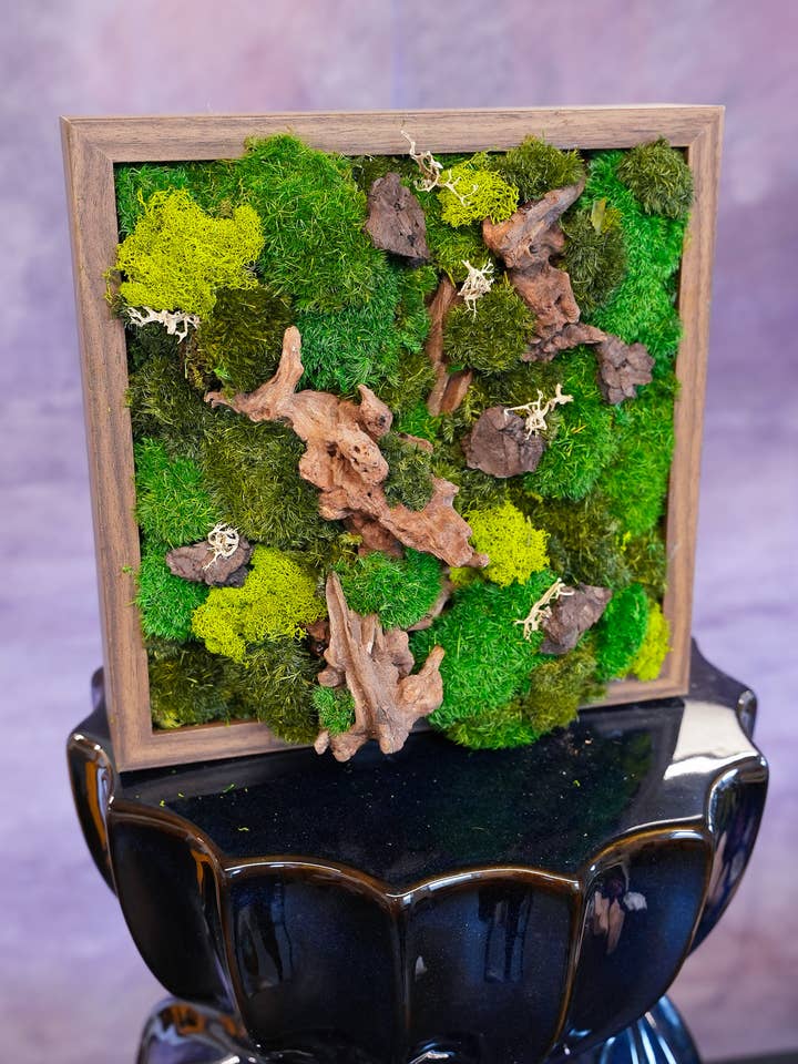 Paradiso di Muschio - Parete di Muschio per la vendita all'ingrosso da parte di TERRART NYC