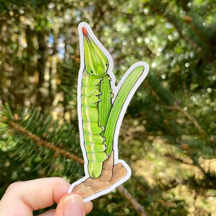 Pine Sphinx Caterpillar Weatherproof Vinyl Sticker for wholesale by Allison Stoiser Art