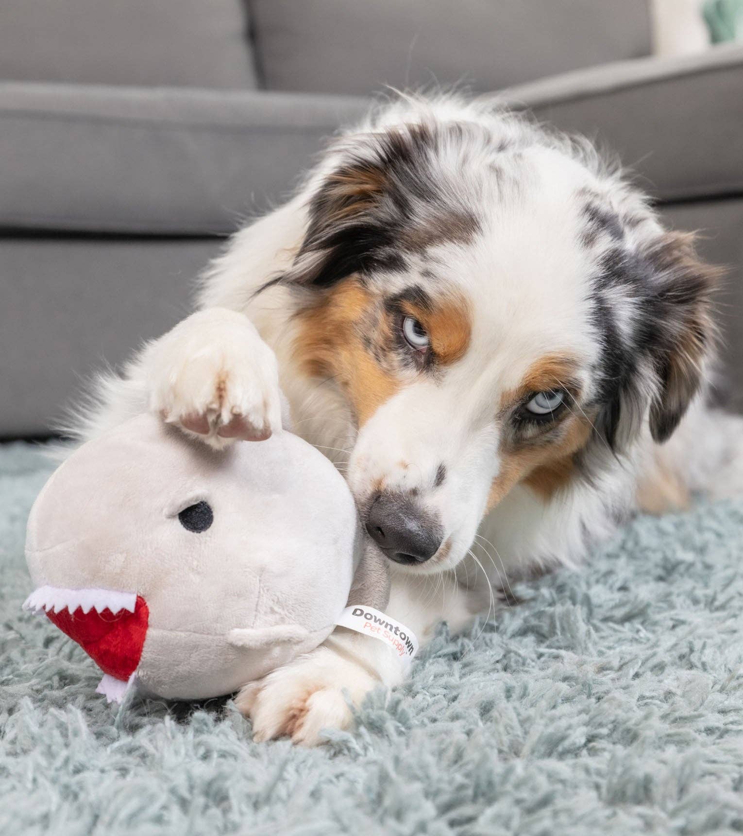 Downtown Pet Supply - Wholesale Knuffelspeeltje - Hond - 2-in-1 knuffelspeelgoed met haaien en kippen3