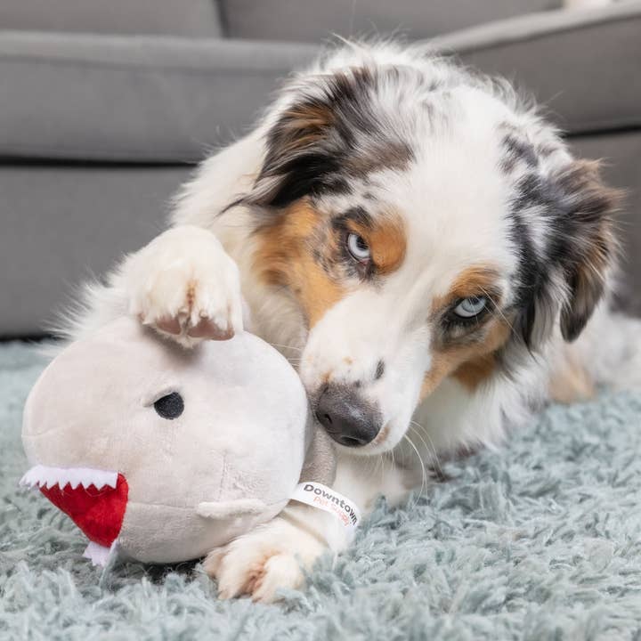 Downtown Pet Supply - Wholesale Knuffelspeeltje - Hond - 2-in-1 knuffelspeelgoed met haaien en kippen3