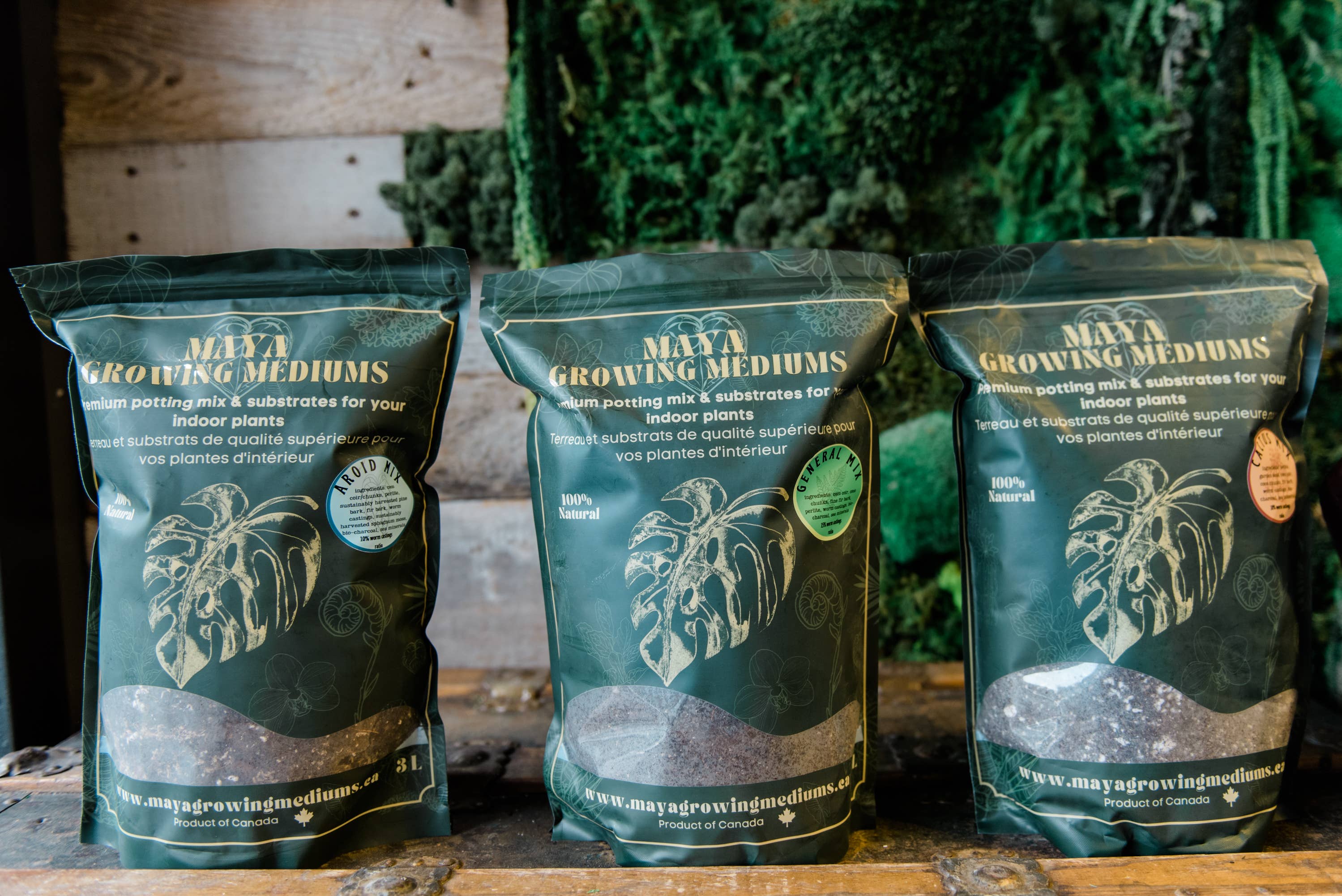 MAYA GROWING MEDIUMS - Wholesale Planting/Potting Soil - Cactus blend-Potting soil for indoor plants7