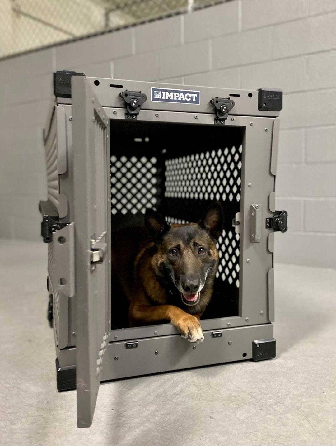 Fox + Hound – Großhandel Haustierreinigung – Fox + Hound Gator's Kennel Cleaner, Kisten, Zwinger 32 Unzen3