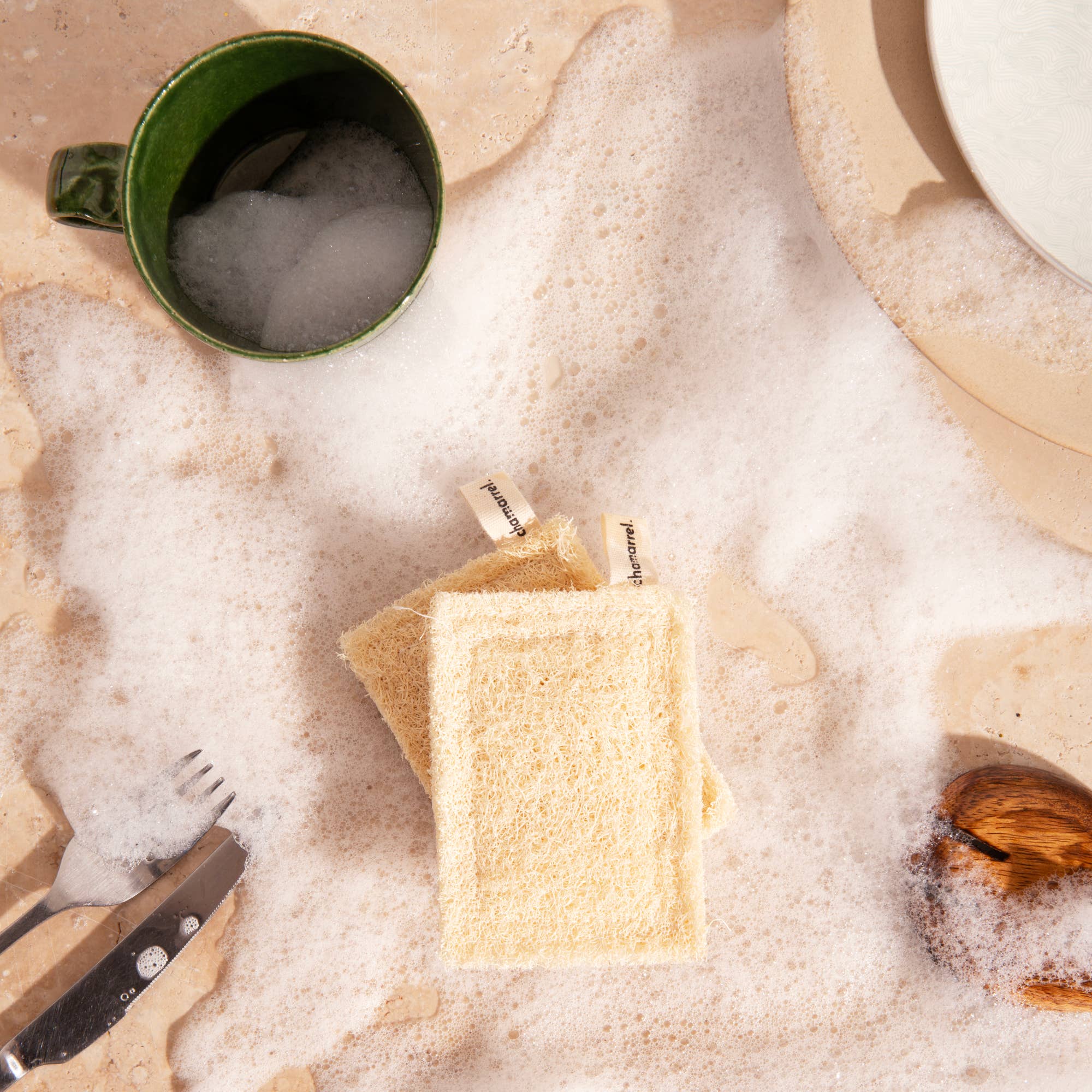 CHAMARREL - Wholesale Cleaning Sponge - Loofah dish sponge | Luffa8