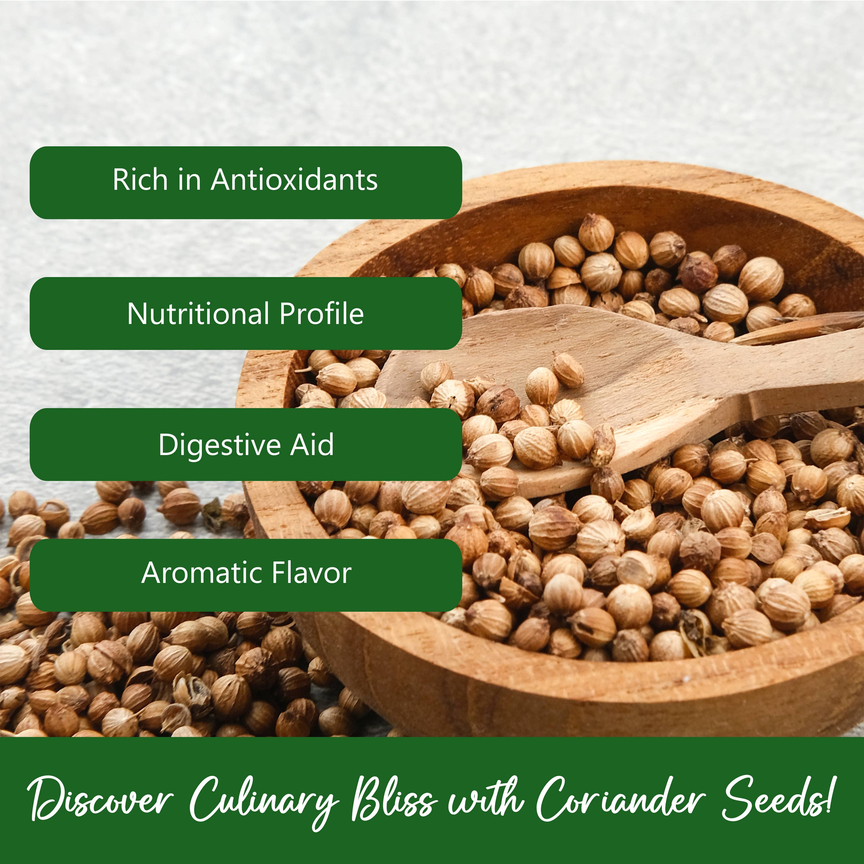 Natural Plus Green - Wholesale Dried Spice - NPG Coriander Seed 16 Oz, Whole Cilantro Seeds4