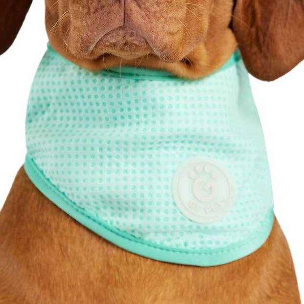ICE BAND - Dog Cooling Bandana - Aqua for wholesale by GF Pet