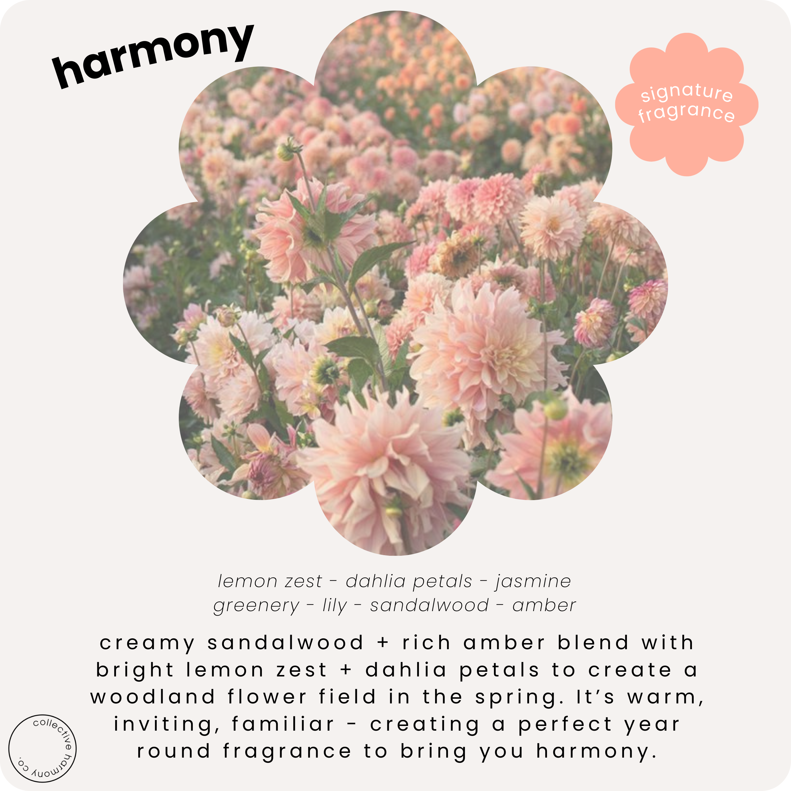 Collective Harmony Co - Wholesale Roll-On Fragrance - harmony | perfume oil roller | personal fragrance4