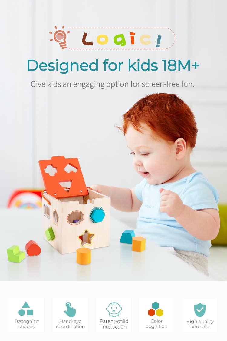 VIGOR - Wholesale Wood Toy - Kids - Classic learning toys shapes puzzle wooden educational toy3