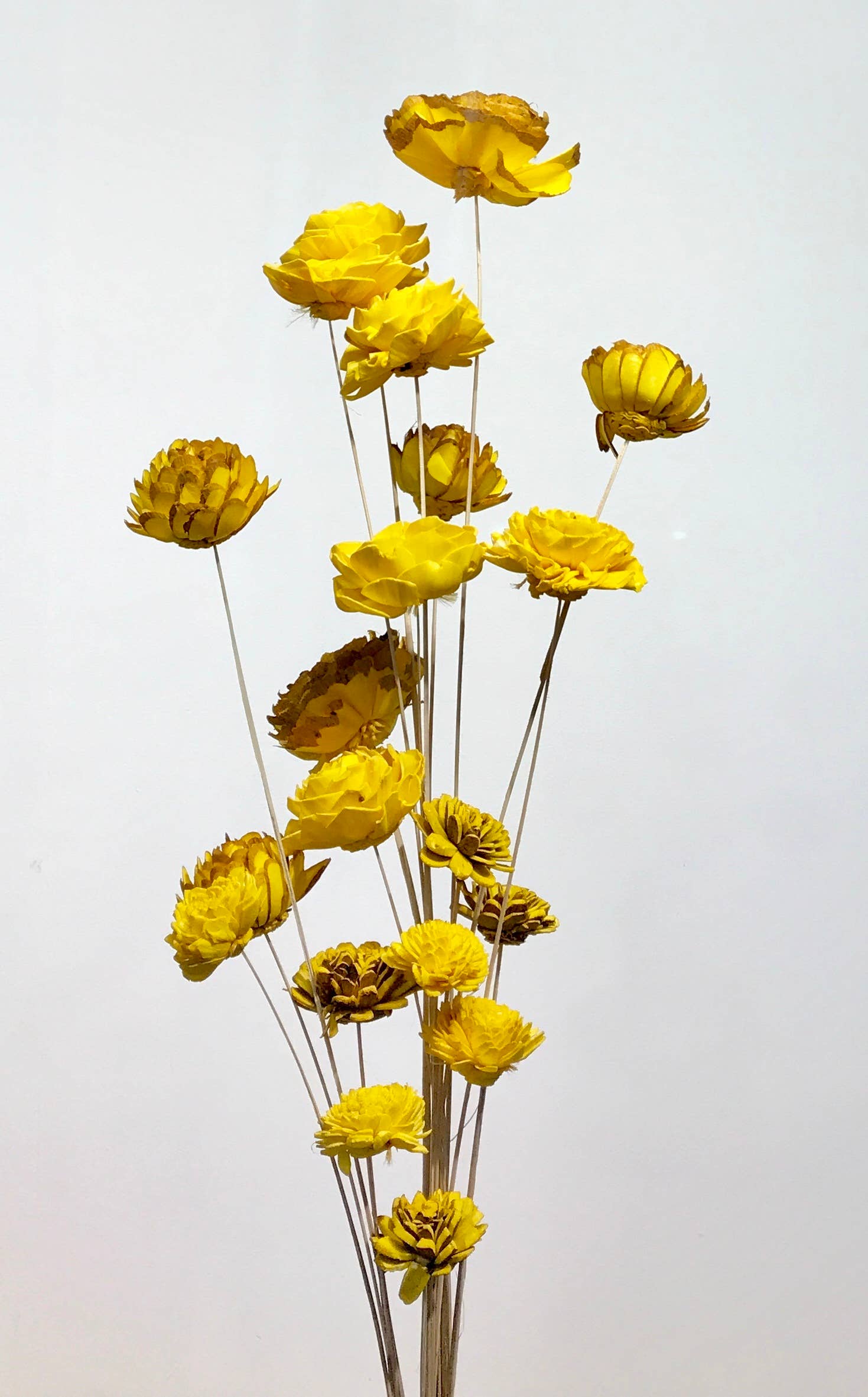 Wilco Home – Großhandel Künstliche Blumen – 20 gemischte Thanksgiving-Blumenzweige3