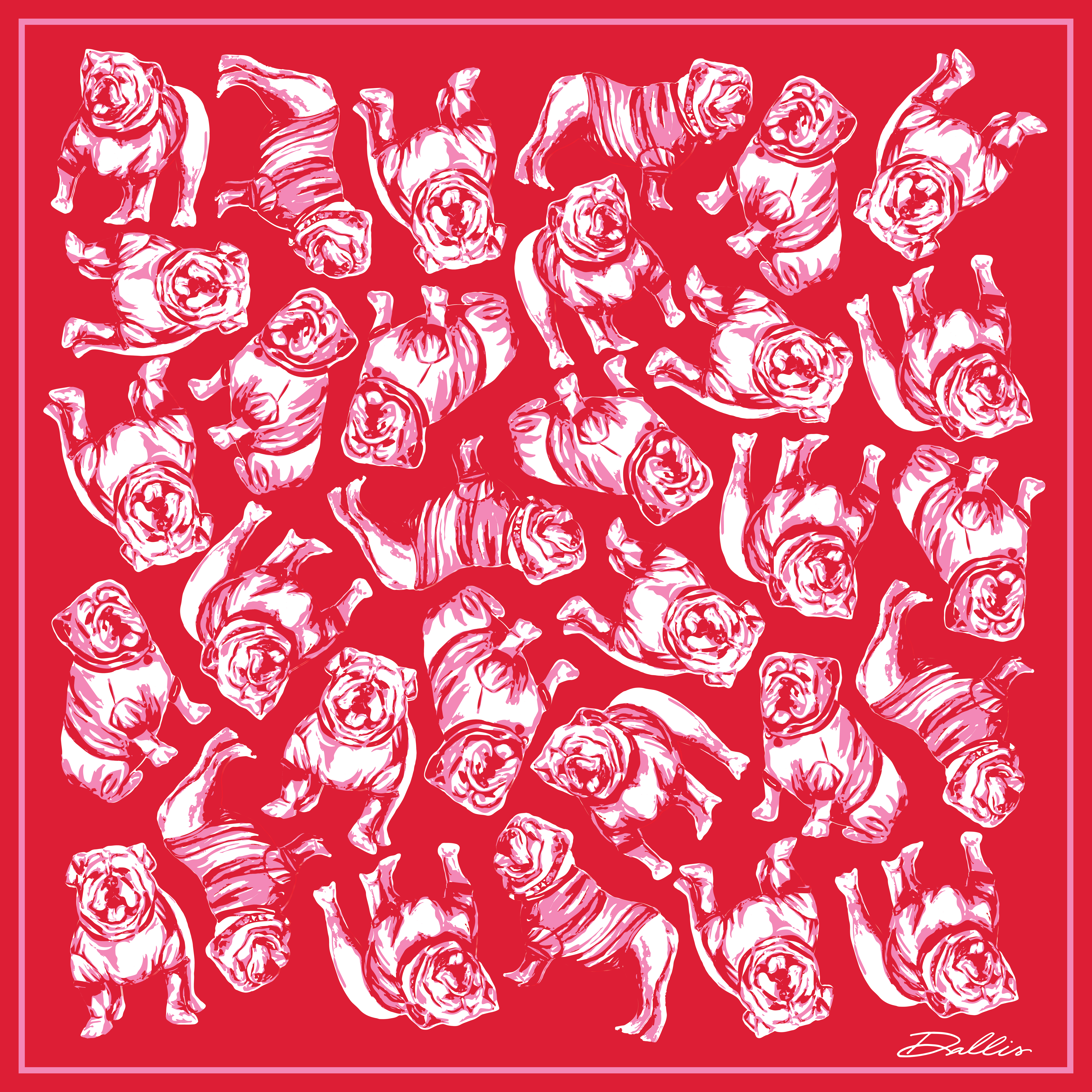 Dallis Foshee Art & Design, LLC - Wholesale Scarf - Women's - Sic 'Em Gameday Scarf | Red & Pink2