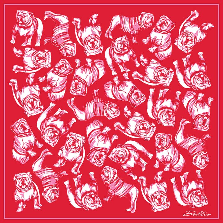 Dallis Foshee Art & Design, LLC - Wholesale Scarf - Women's - Sic 'Em Gameday Scarf | Red & Pink2