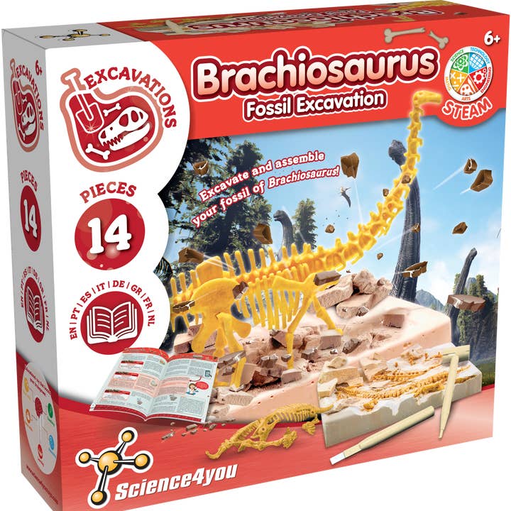 Brachiosaurus Fossil Excavation - Toy for Kids (8 languages) for wholesale by Science4you