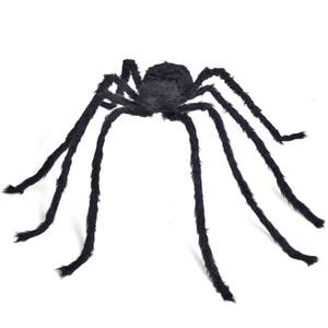 Spiders of the United States & Canada - AdventureKEEN Shop