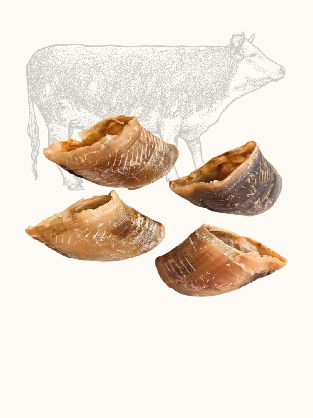 Truffe Délice – wholesale Pet bone/rawhide – Dog – Beef hoof3