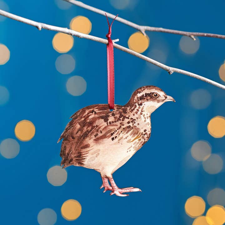 Vaktel julgransdekoration för wholesale av Oakdene Designs