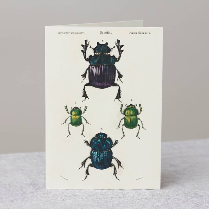 Scarab beetles greeting card with envelope, Halloween gift for wholesale by The Zoologist Archives