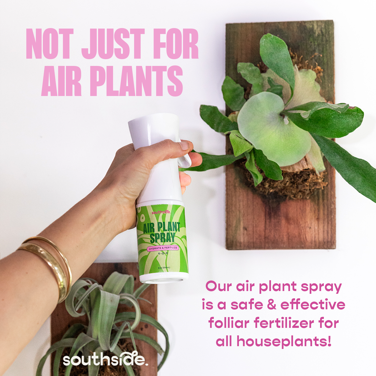 Southside. - Wholesale Fertilizer - Air Plant Fertilizer - Spray and Soak9