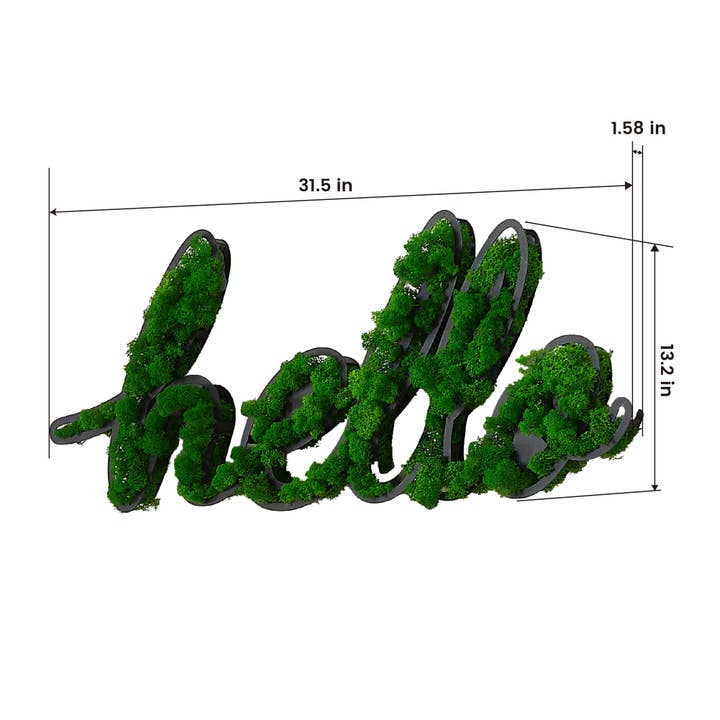 Orange County Decor - Wholesale Wall Accent - Hello Letter Art Moss Wall Decor Green Iron