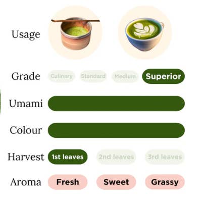 Lisata - Wholesale Health/Detox Tea - CAMELLIA – Premium Barista Matcha 40gr4