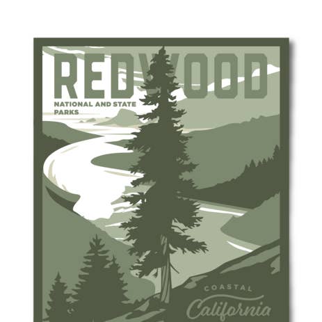 Redwood-Nationalpark - 12x16 Poster für den Großhandel von The Landmark Project