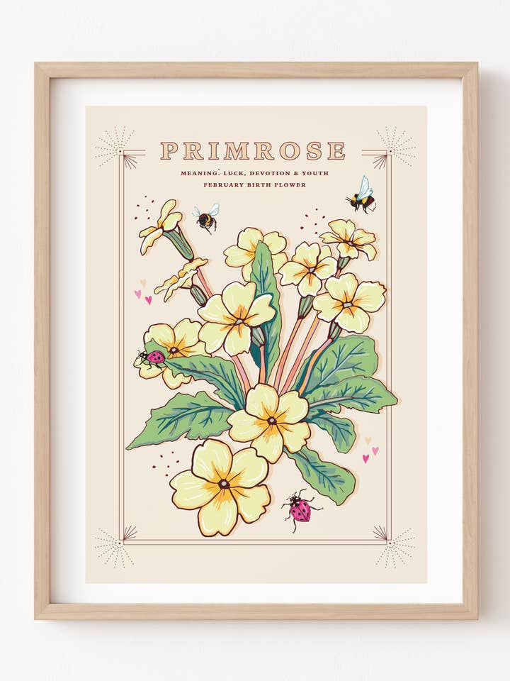 Primrose February Birth Flower Wall Art Print A4 Unframed for wholesale by Angie Spurgeon Illustration and Design