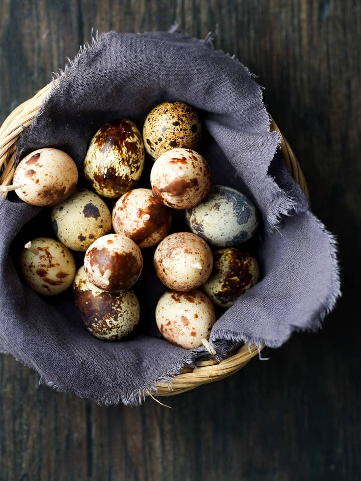 As Velas de Ovos de Codorniz por atacado de FALLOW CANDLES