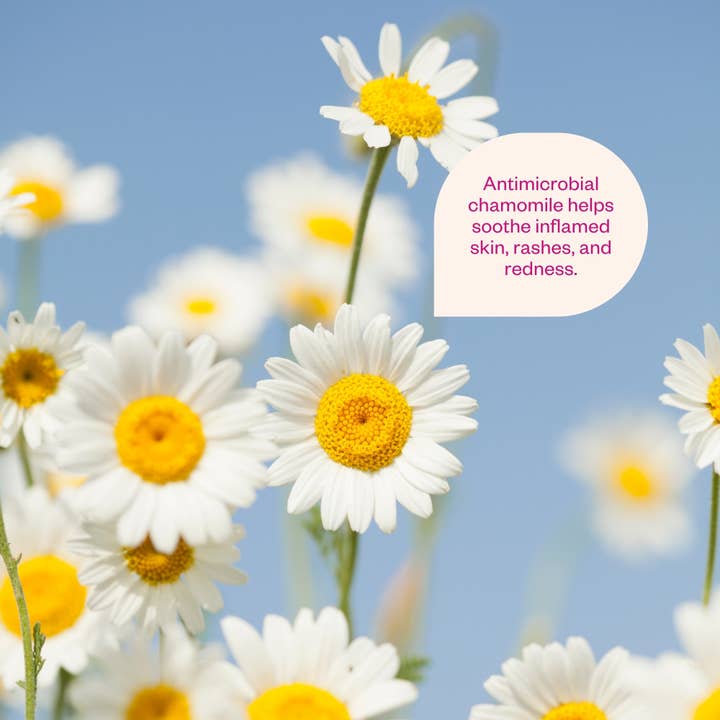 Flow Cosmetics - Wholesale Face & Body Mist/Water - Chamomile & Probiotics Facial Mist Cosmos Organic2