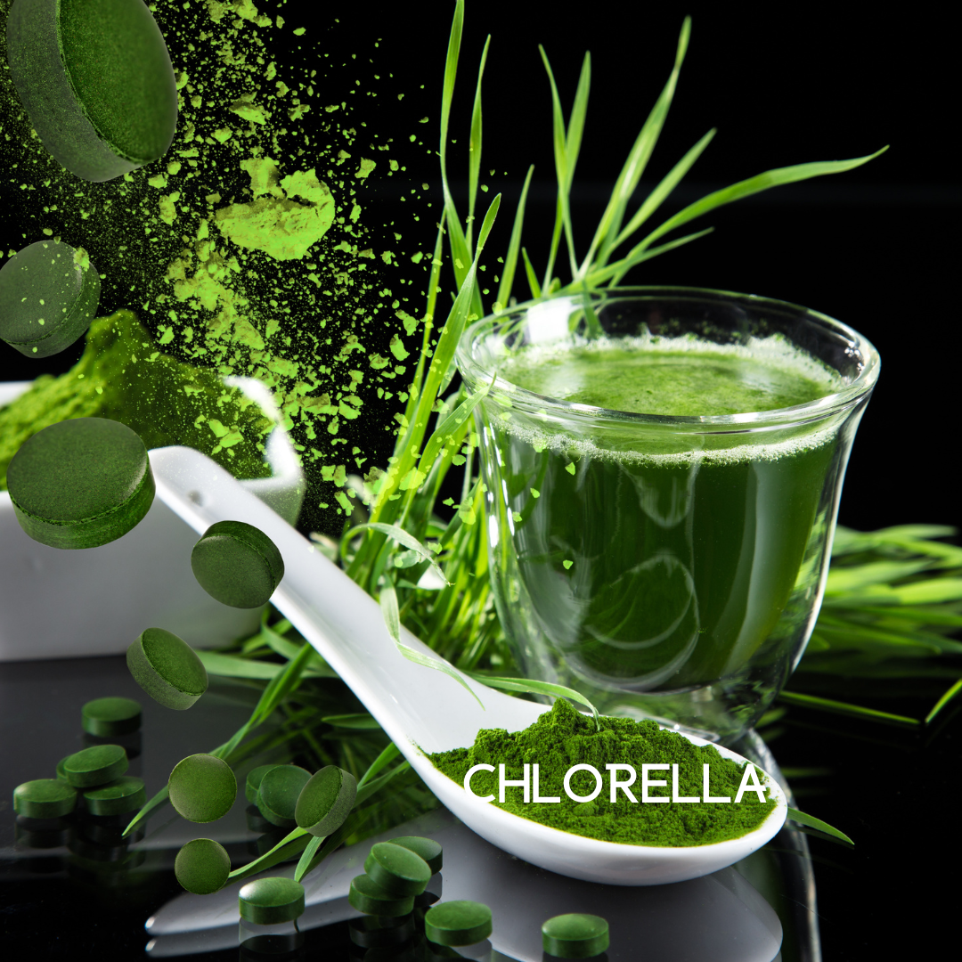 My Balance - Wholesale Oral Supplement/Vitamin - Colon Cleanse7