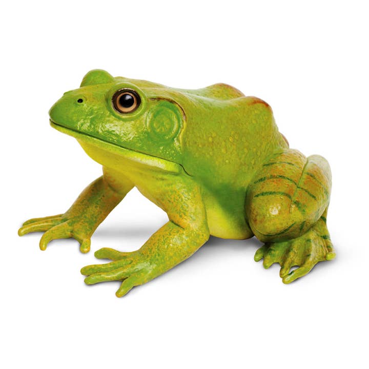 American Bullfrog Figurine Toy for wholesale by Safari Ltd.