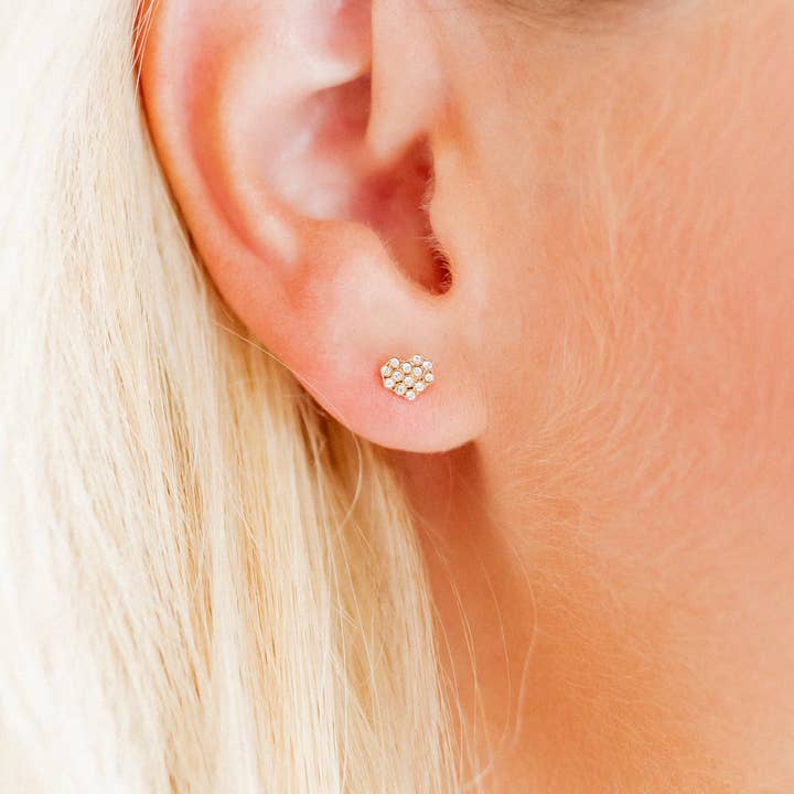LINNY CO - Vente Clous d'oreille - Boucles d'oreilles à vis - Lion - Transparent