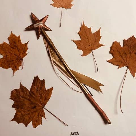 Baguette Magica Davvero Magica Spensieratezza d'Autunno per la vendita all'ingrosso da parte di La fabrique de MOTS MAGIQUES