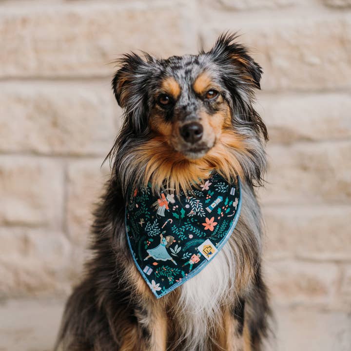 Sugar Plum Fairy Bandana for wholesale by Home With Hound