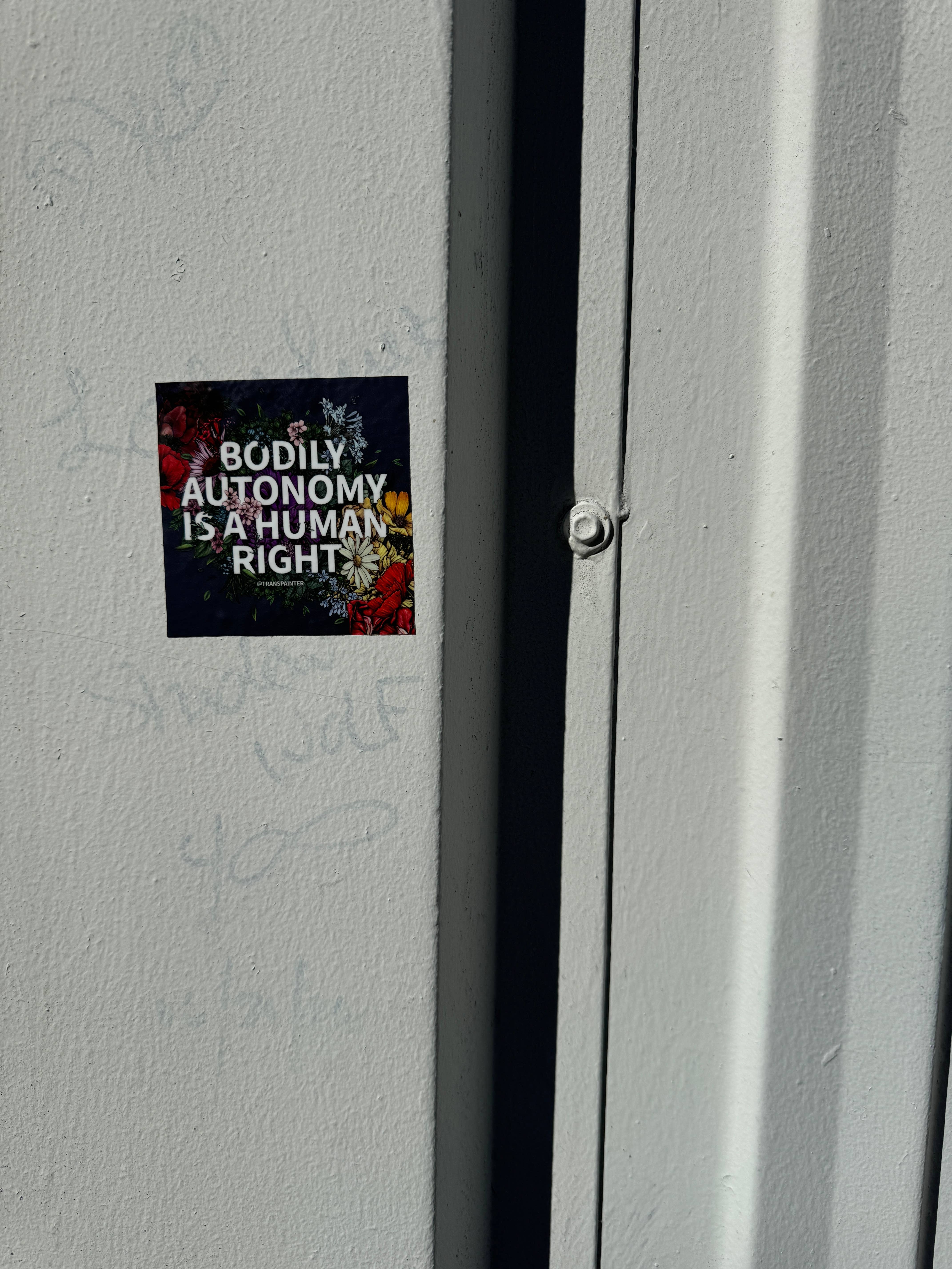 Transpainter - Wholesale Sticker - Bodily Autonomy is a Human Right Sticker | Feminist Stickers14