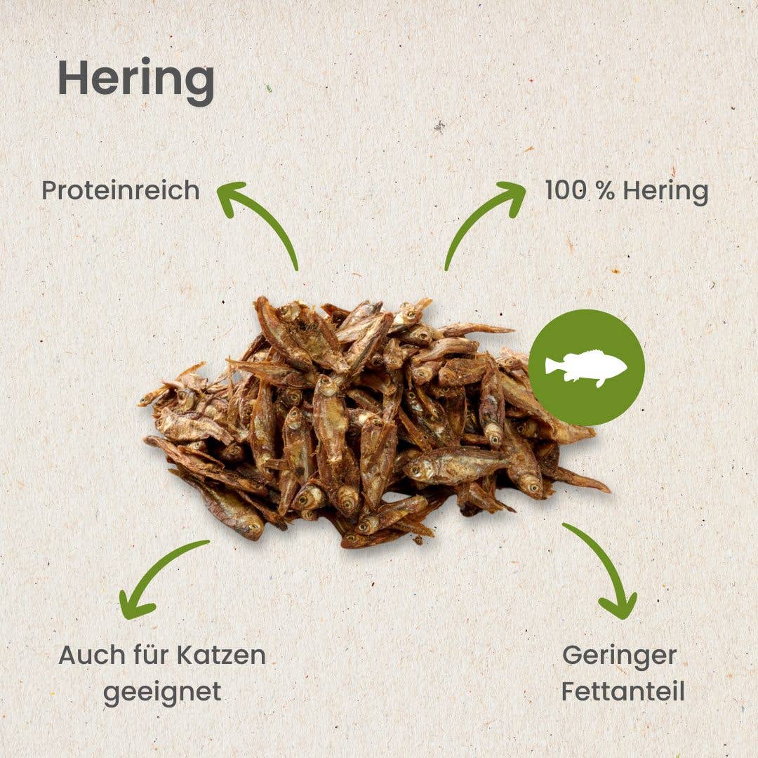 Kauartikel.com GmbH - Wholesale Pet Bone/Rawhide - Dog - herring4