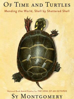 Of Time and Turtles: Sy Montgomery for wholesale by HarperCollins